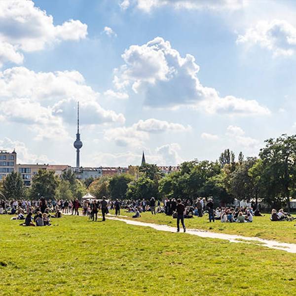 teaser-nachhaltigkeit-berlin-wiese-fernsehturm-sommer