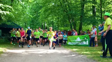 Die Teilnehmer des Branitzer Parklaufs rennen durch den grün bewachsenen Park.