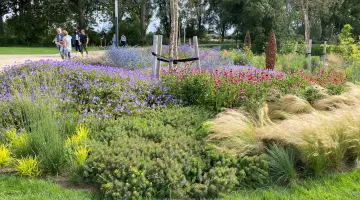 Blütenpracht auf der Landesgartenschau in Beelitz