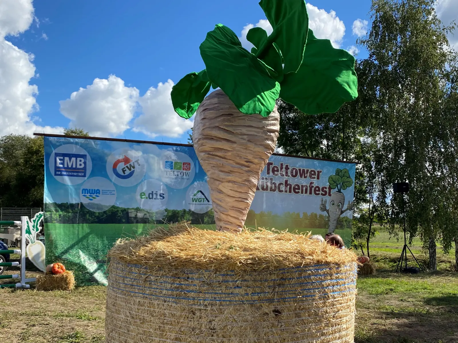 Eine unechte übergroße Rübe steckt mit der Spitze in einem Heuballen