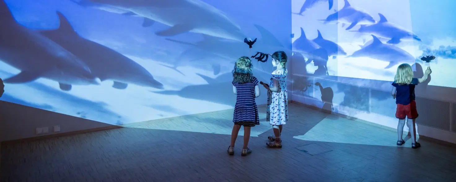 Kinder stehen vor einer Leinwand in dem Delphine zu sehen sind