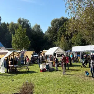 Sonniger Outdoor-Markt mit Verkaufsständen und Zelten, umgeben von Natur und Bäumen. Besucherinnen und Besucher schlendern umher.