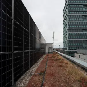 Vertikal installierte Photovoltaikmodule auf einem Gründach zwischen modernen Bürogebäuden in einer urbanen Umgebung