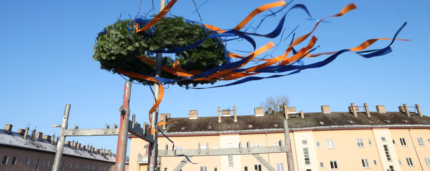 Tannenkrone des Richtfest, mit orangen und blauen Bändern