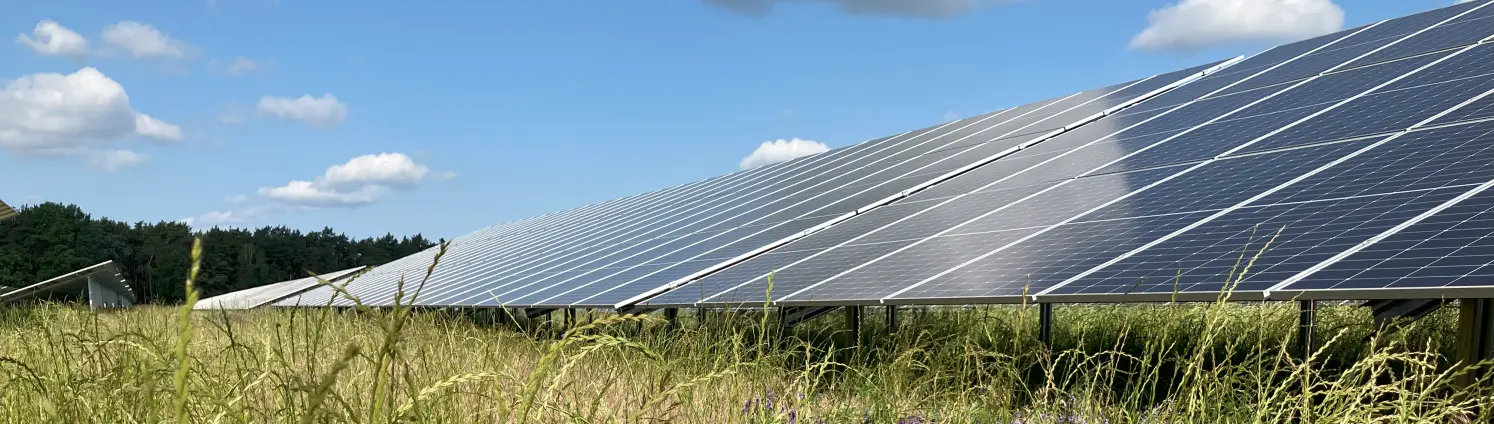 Spiegelnde Solarmodule auf ungemähter Wiese: Solarpark Laubsdorf 2 der GASAG-Gruppe in der Lausitz.